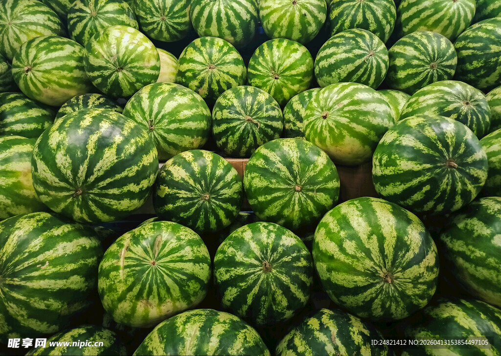 大量西瓜整齐堆放
