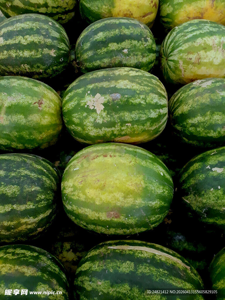 整齐排列的新鲜大西瓜