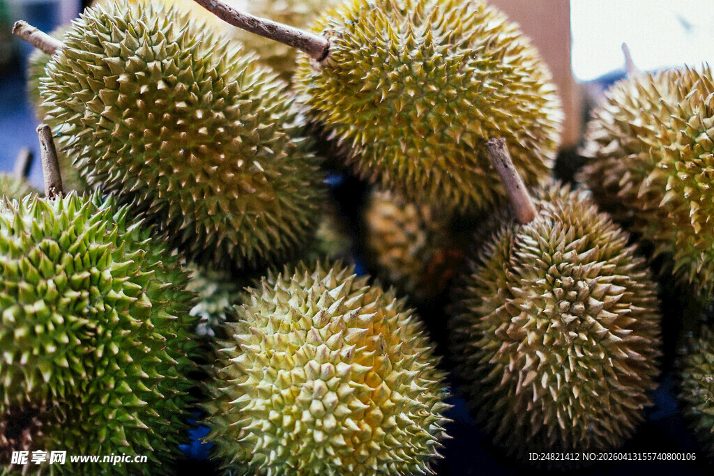 新鲜饱满的榴莲堆叠