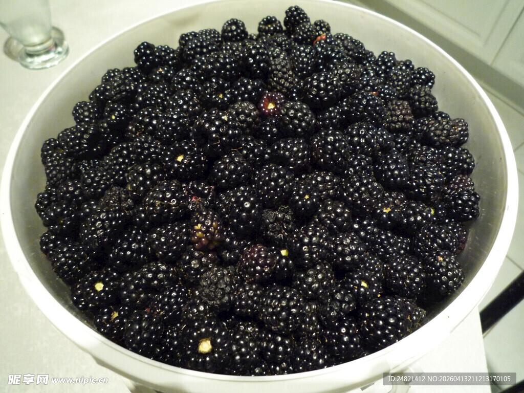 满满一盆新鲜桑葚果