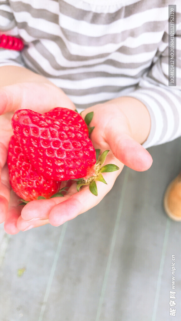 手中娇艳欲滴的新鲜草莓