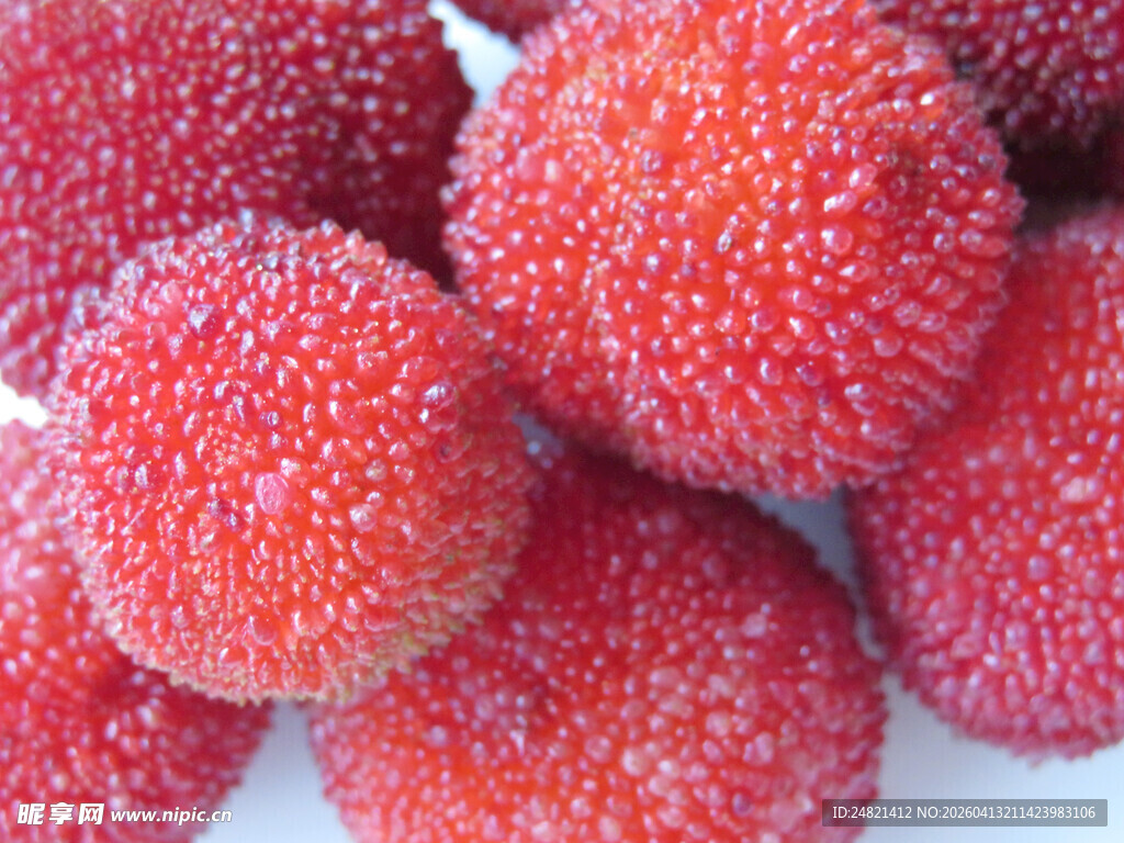 新鲜覆霜杨梅特写