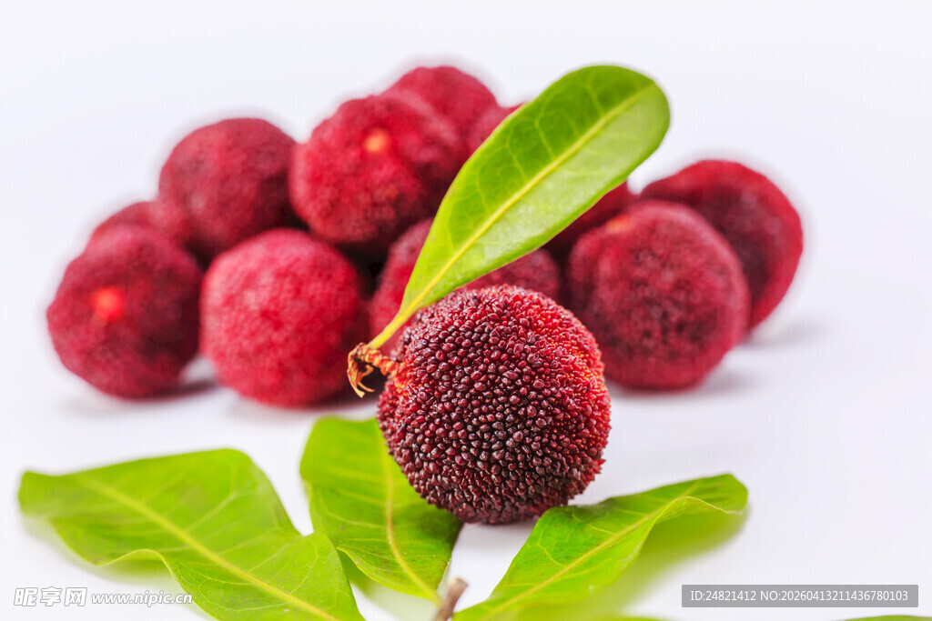 新鲜诱人的红杨梅与绿叶