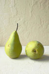 两个黄绿色梨子静物图
