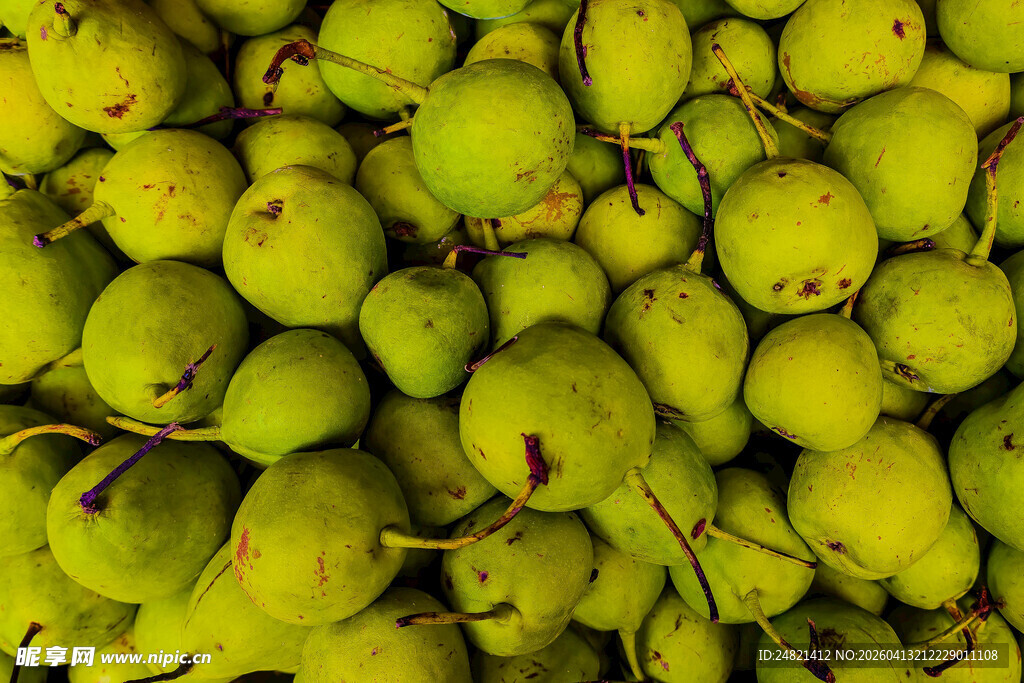一堆鲜绿饱满的成熟梨子