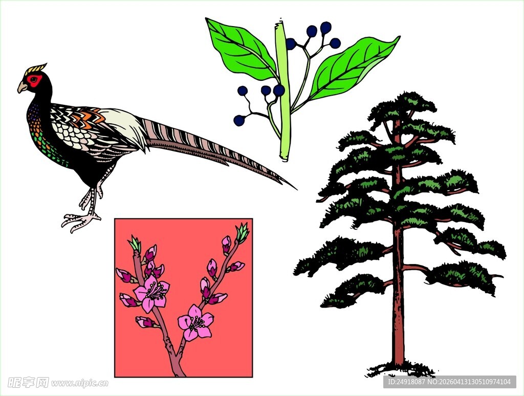 动植物插画素材