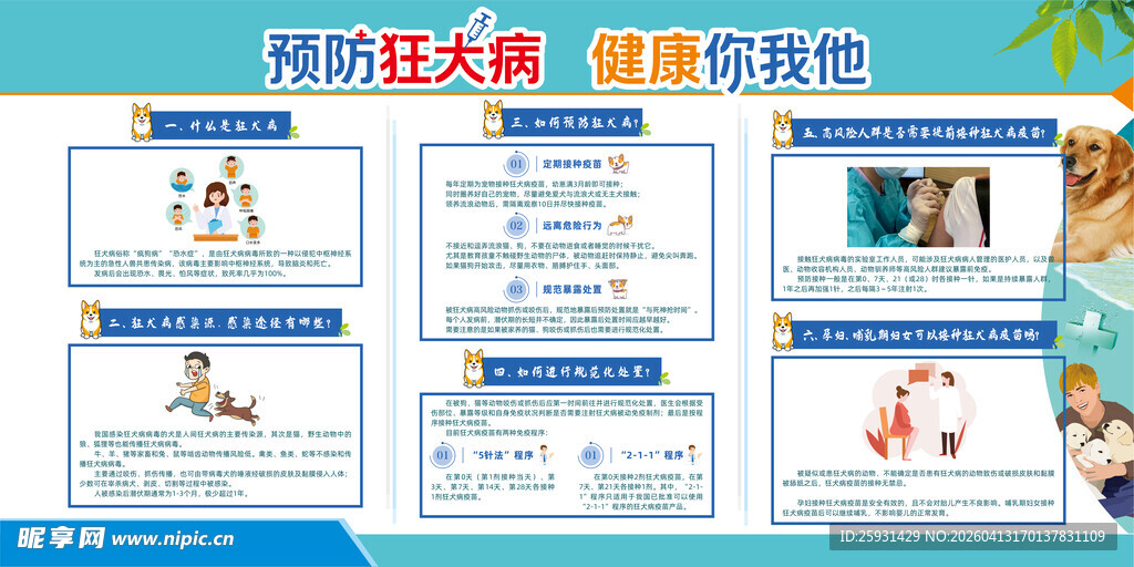预防狂犬病 健康你我他