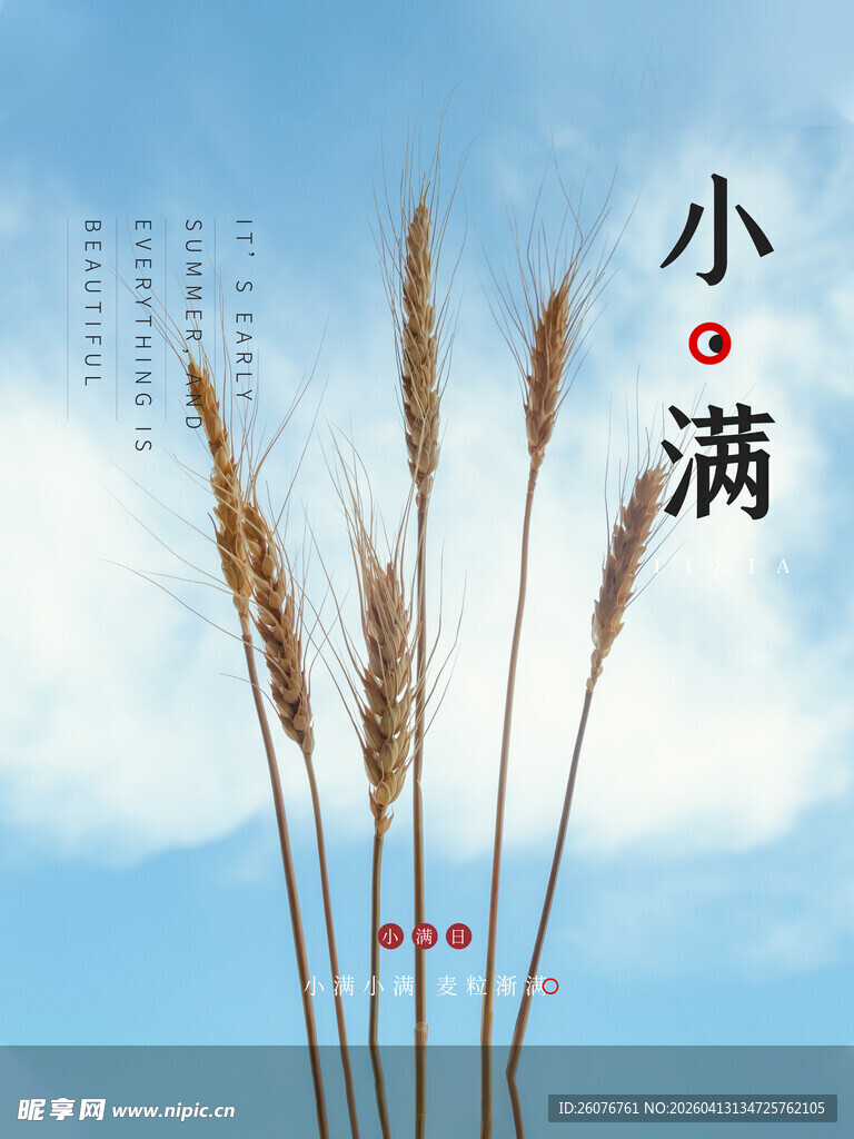 小满天际麦穗立