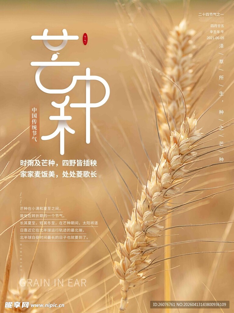 芒种 