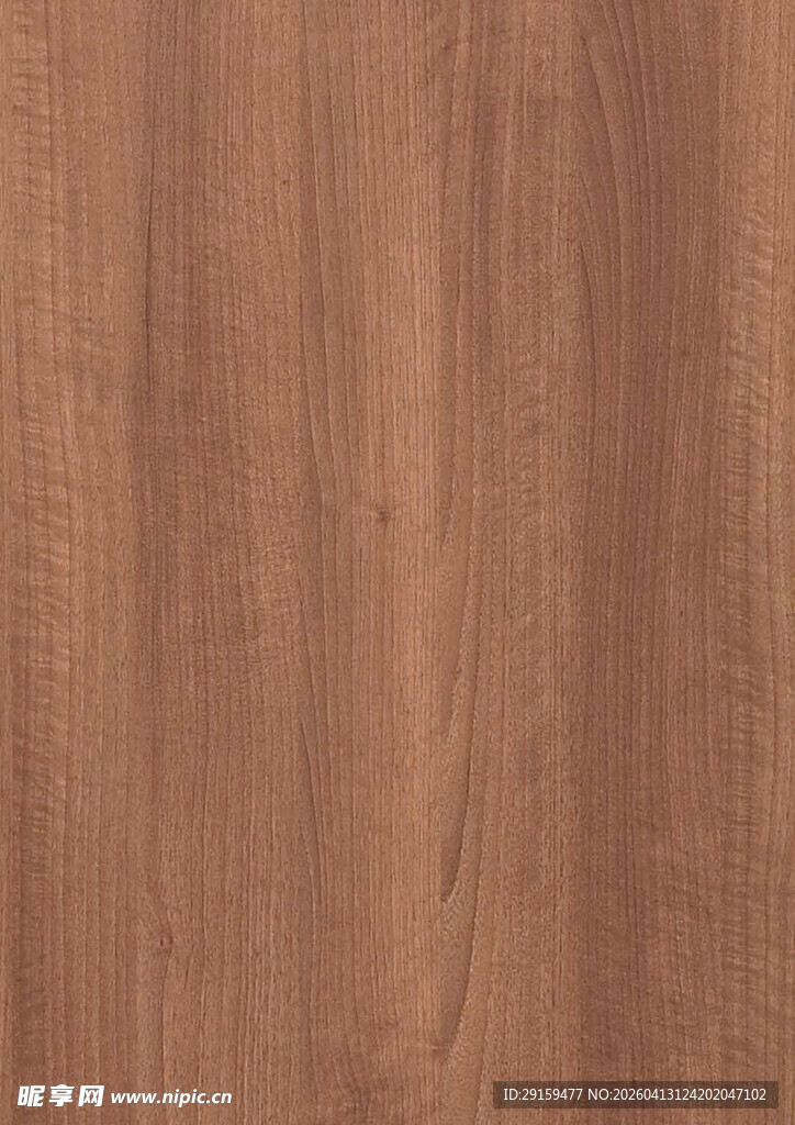 棕色木纹纹理特写