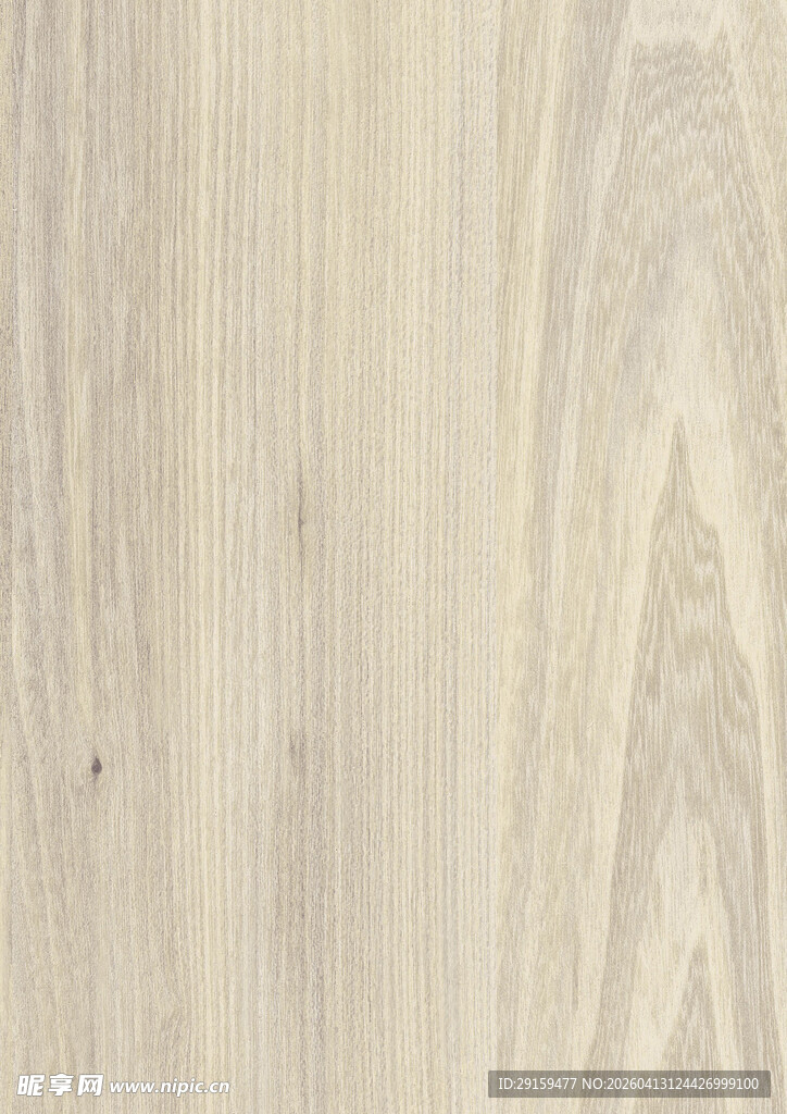 浅色木纹纹理特写