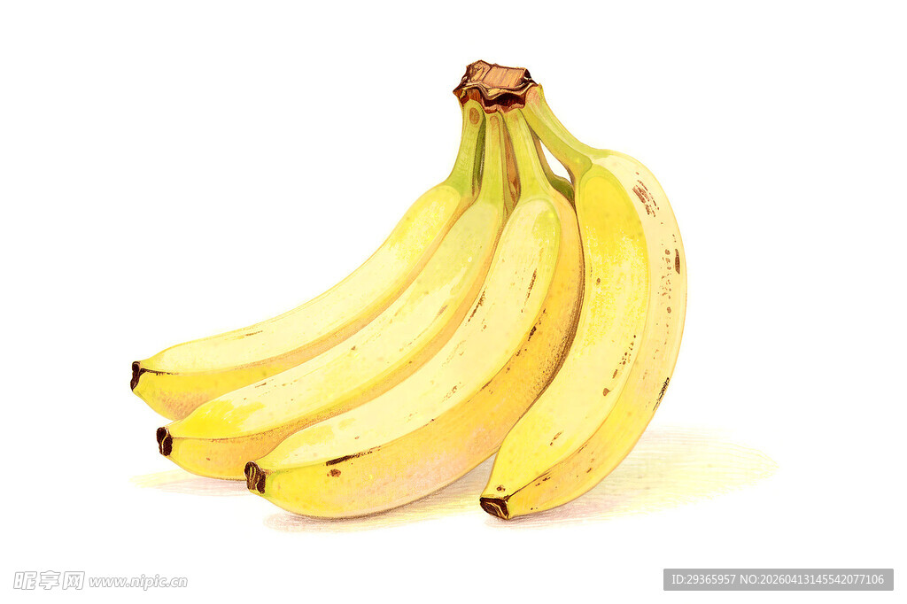 一串新鲜黄香蕉