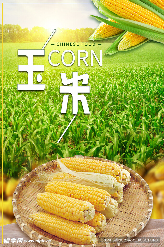 玉米海报