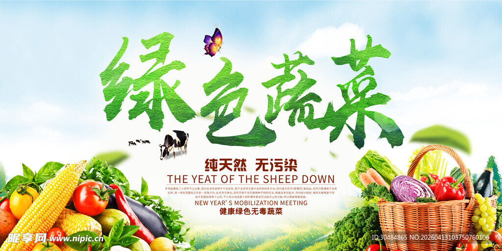 绿色蔬菜海报