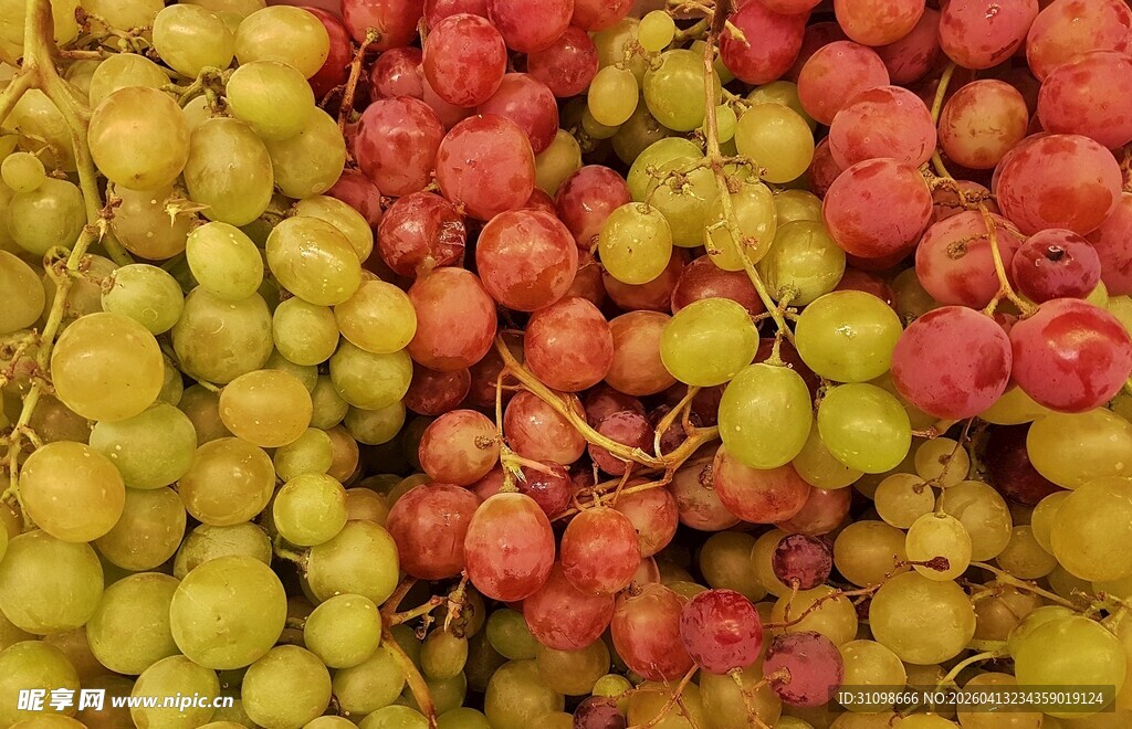 多彩葡萄堆