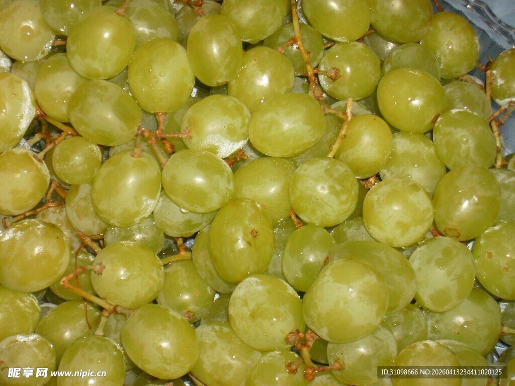 新鲜绿葡萄