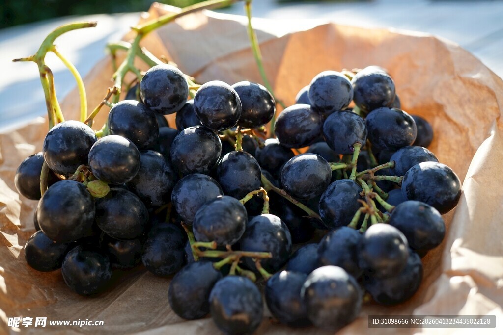 新鲜紫葡萄