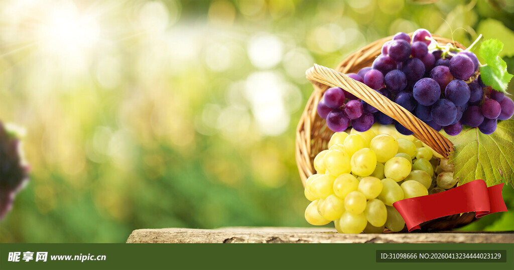 篮子里的多彩新鲜葡萄