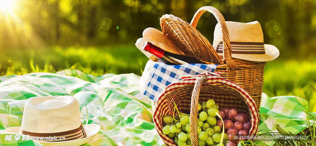 户外野餐场景中的美食与用品