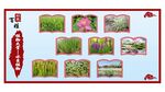 田园风光花卉绿植展示