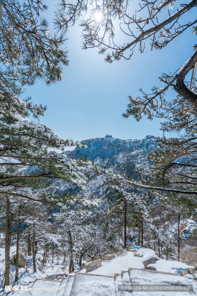 雪覆山林美景
