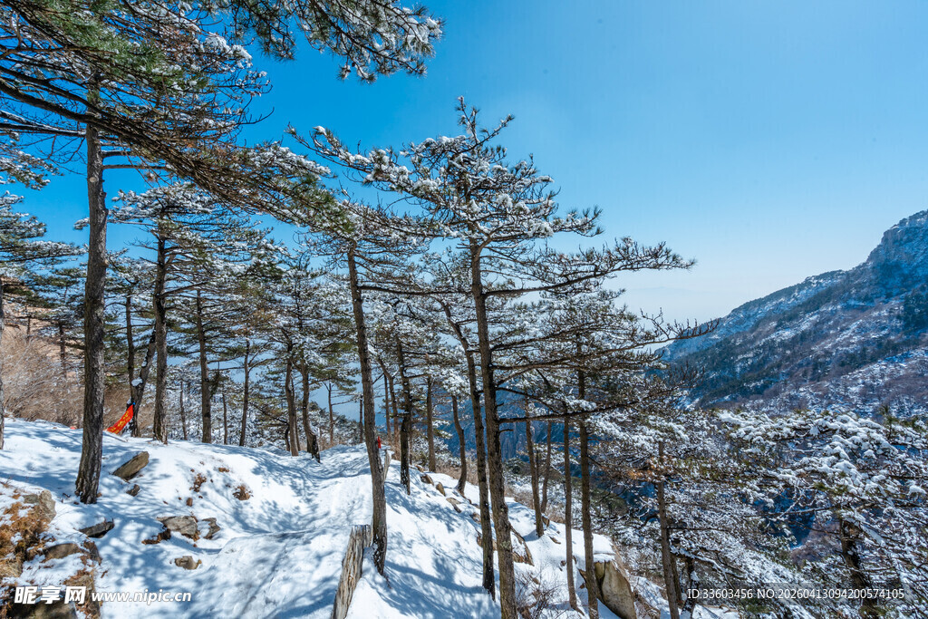 雪覆山林间的冬日美景