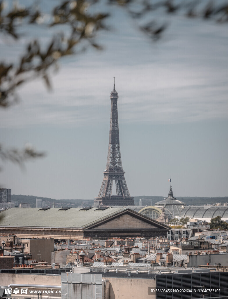 巴黎城市景观中的埃菲尔铁塔