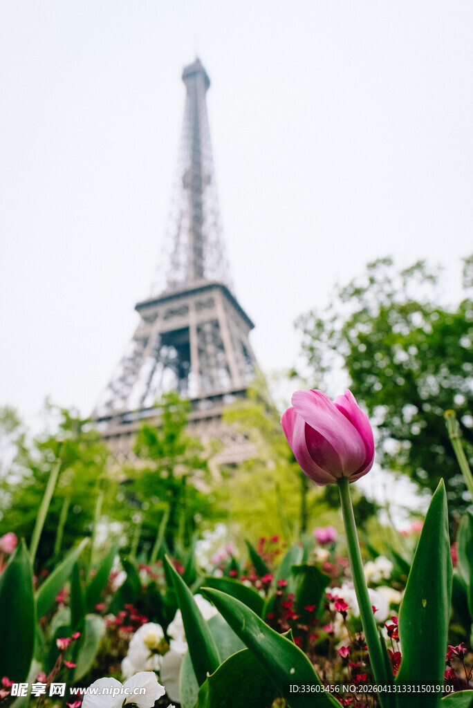 埃菲尔铁塔下的缤纷花卉