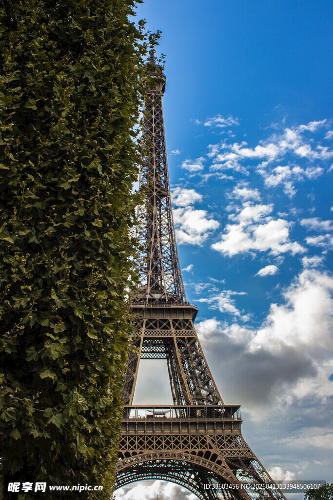 埃菲尔铁塔旁的葱郁绿植