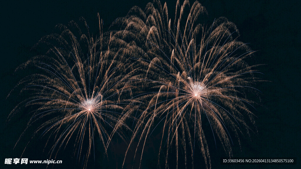 夜空中绚烂的烟花绽放