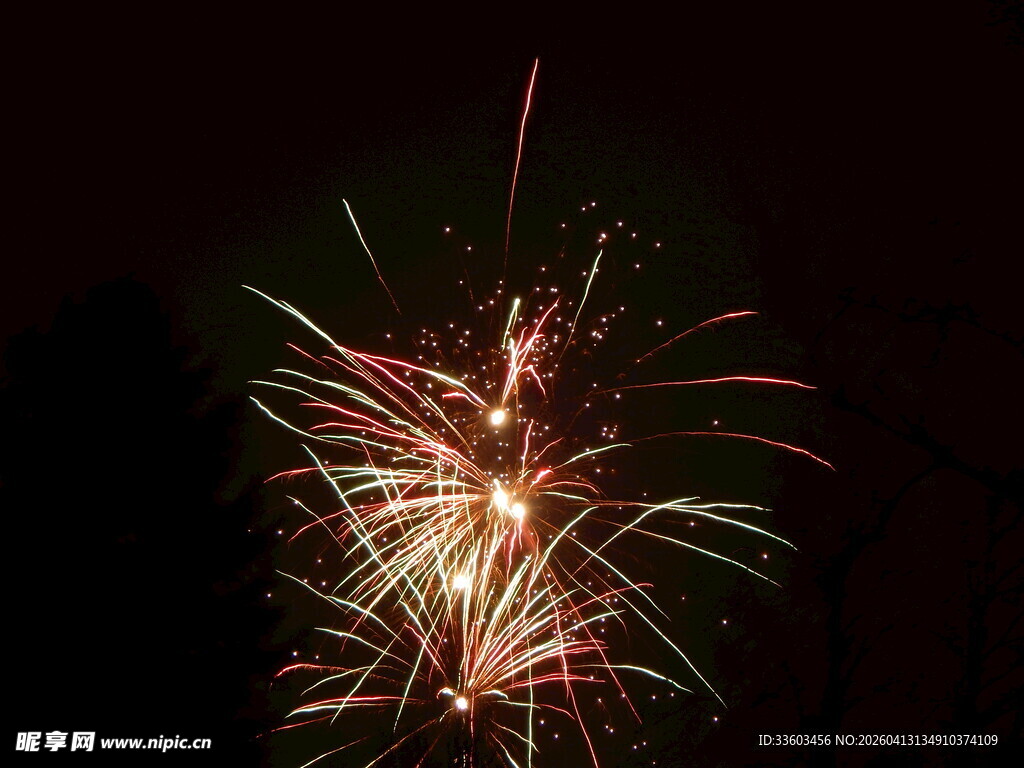 夜空中绚烂的烟花绽放