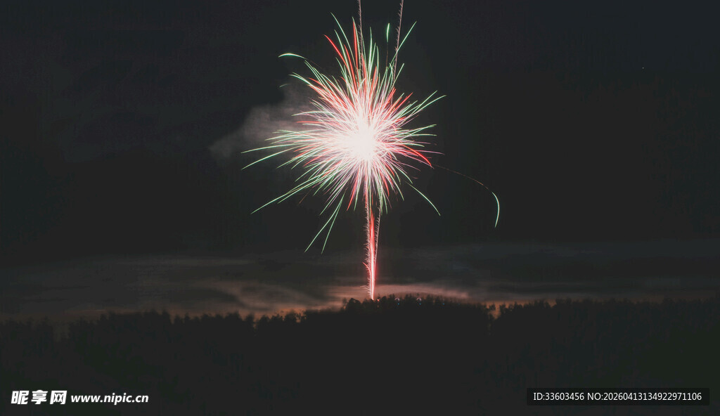夜空中绽放的绚烂烟花