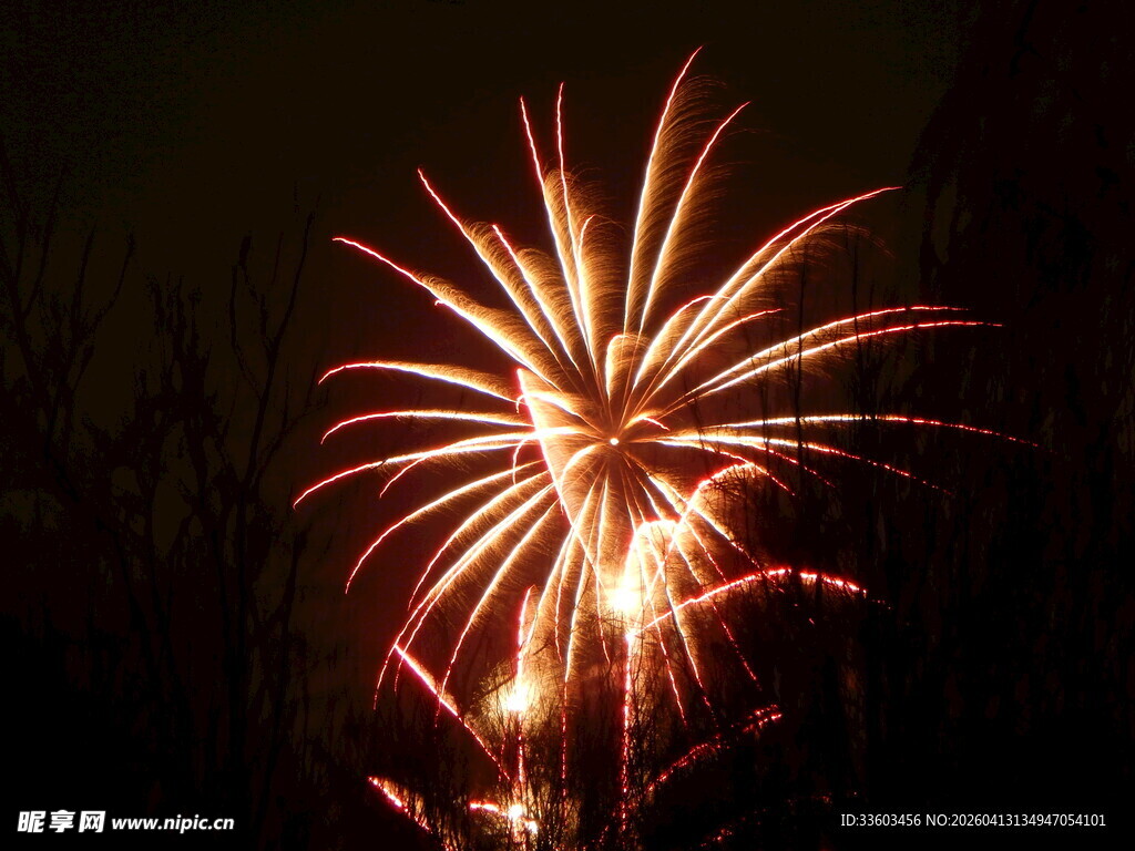 夜空中绚烂绽放的烟花
