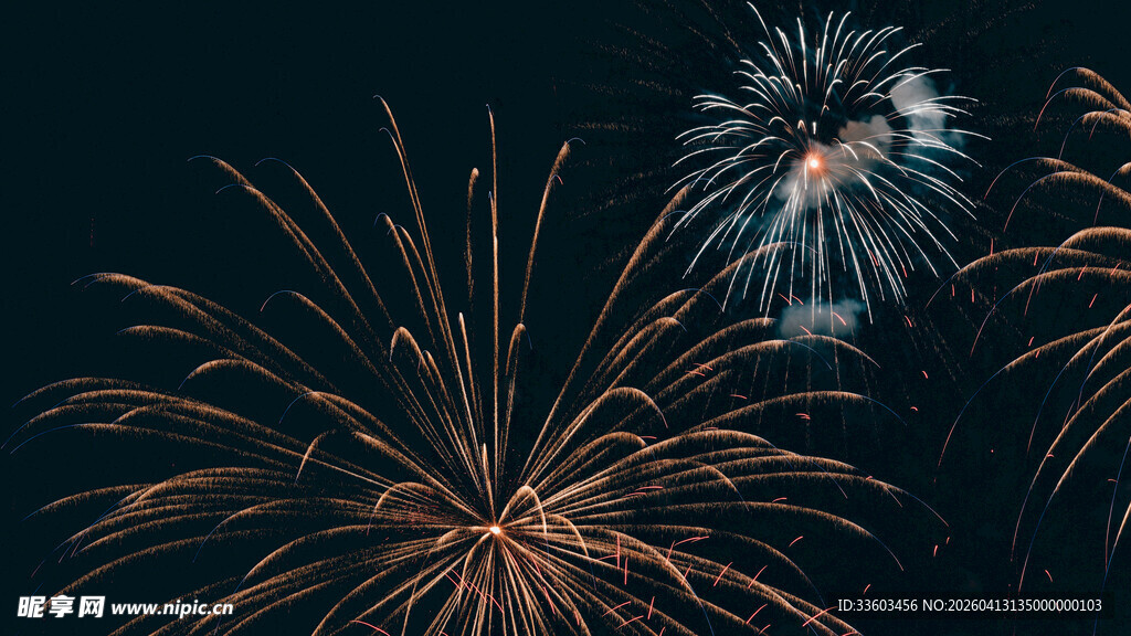 夜空中绚烂的烟花绽放