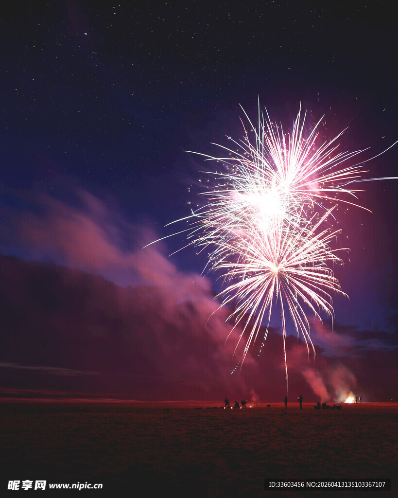 夜空绽放的绚烂烟花
