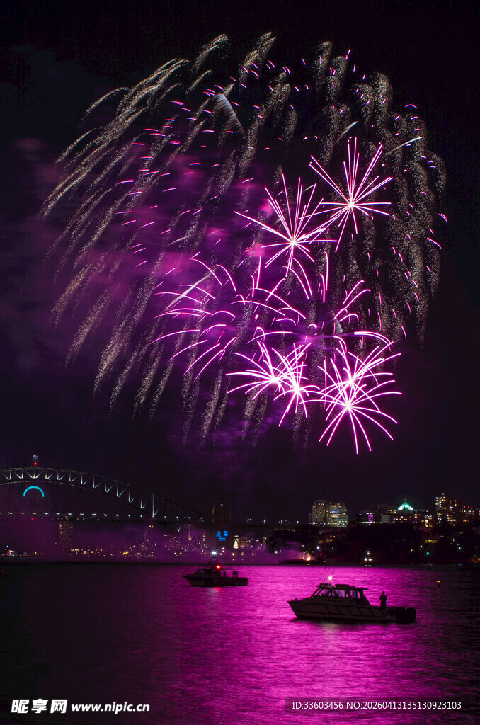 夜空中绚烂的紫色烟花秀