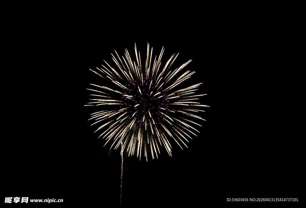夜空中的璀璨烟花