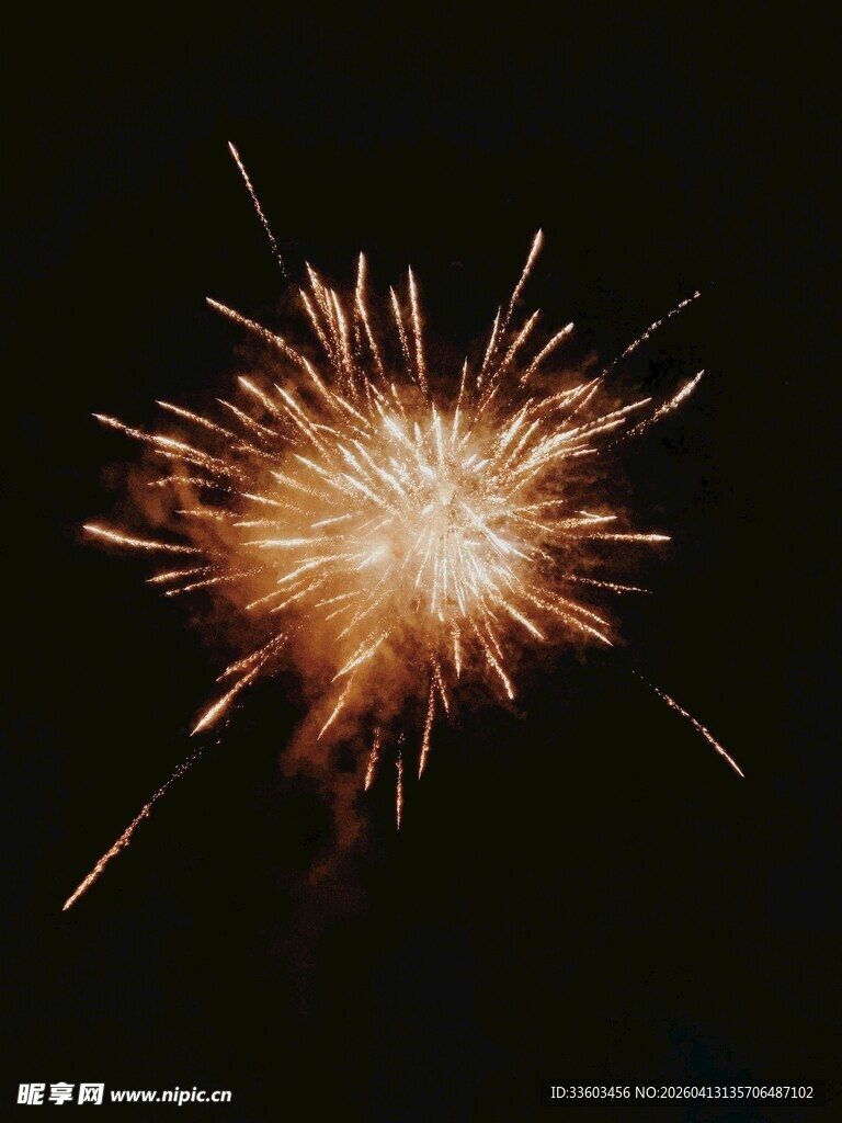 夜空中绽放的绚烂烟花