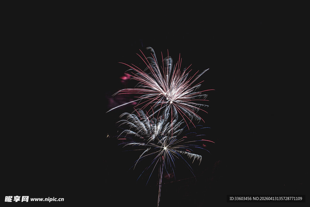 夜空中绽放的绚烂烟花