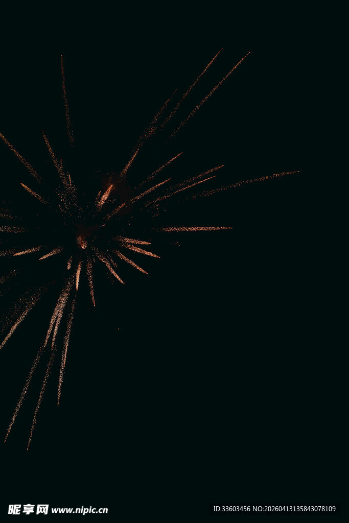 夜空中绚烂的烟花绽放