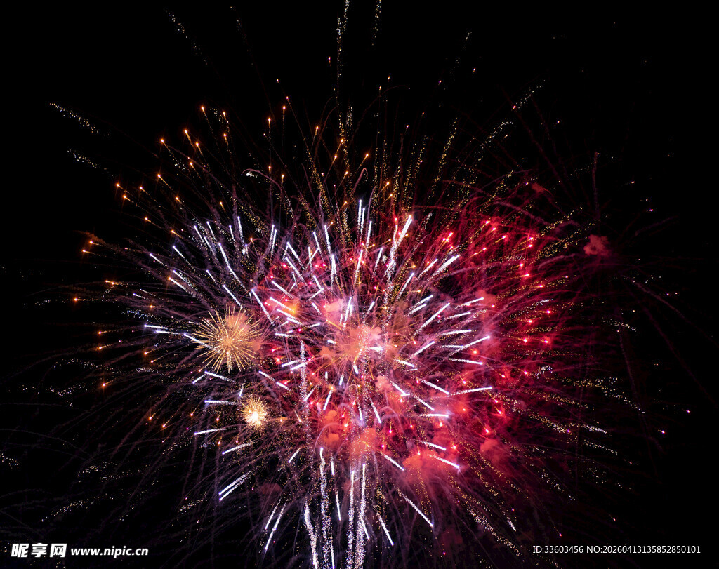 绚丽烟花绽放夜空