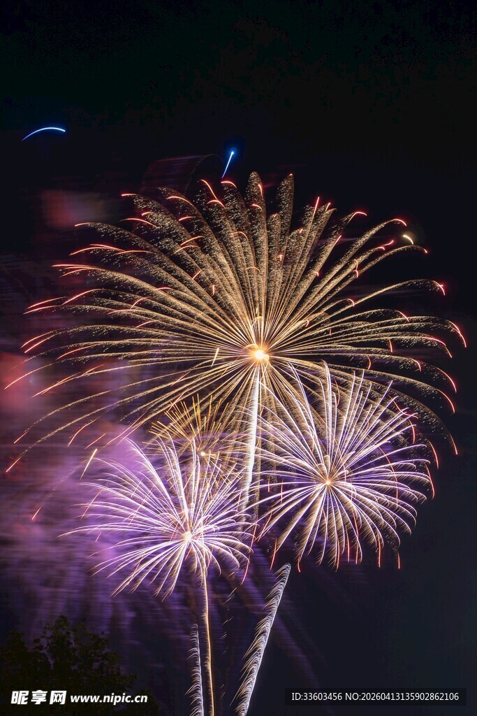夜空中绚烂绽放的烟花