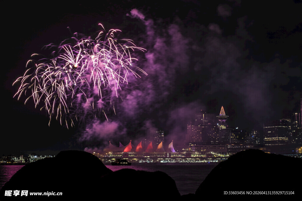 夜空中绚烂绽放的紫色烟花