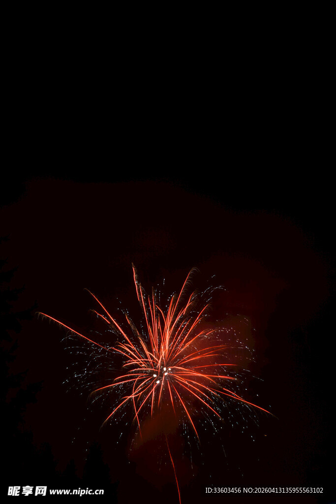 夜空中绽放的绚丽烟花