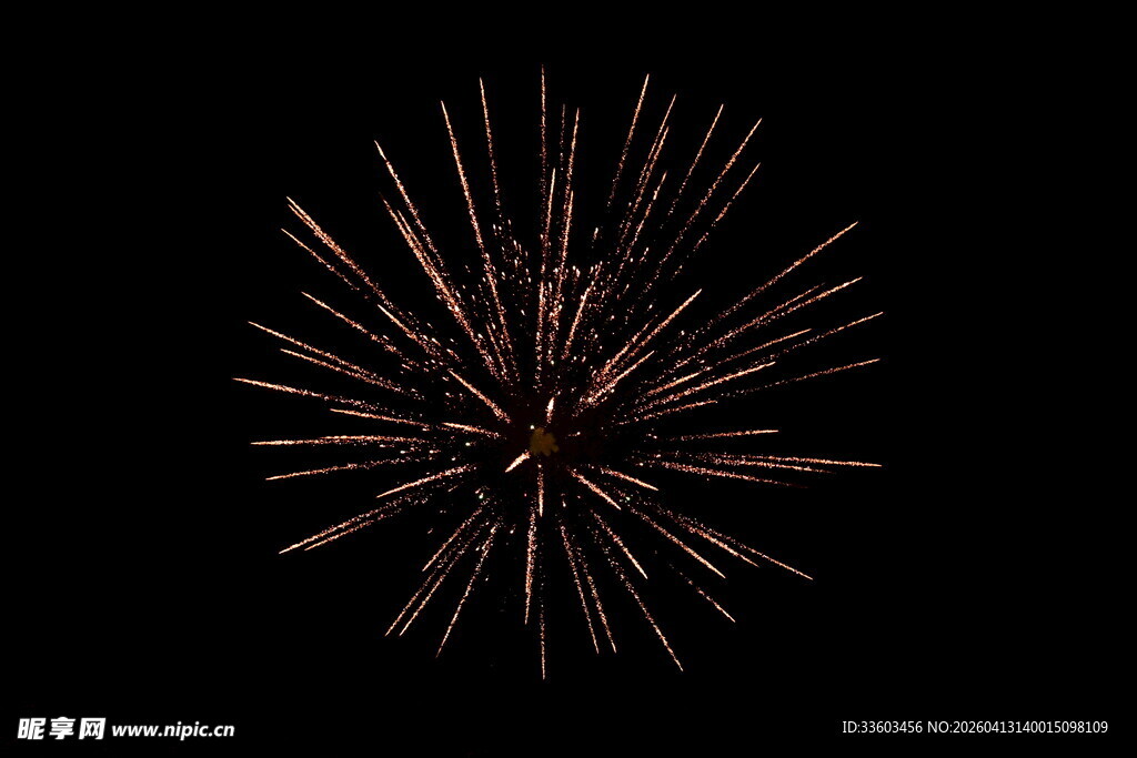 夜空中绽放的绚烂烟花