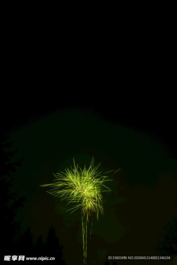 夜空中闪耀的绚丽烟花