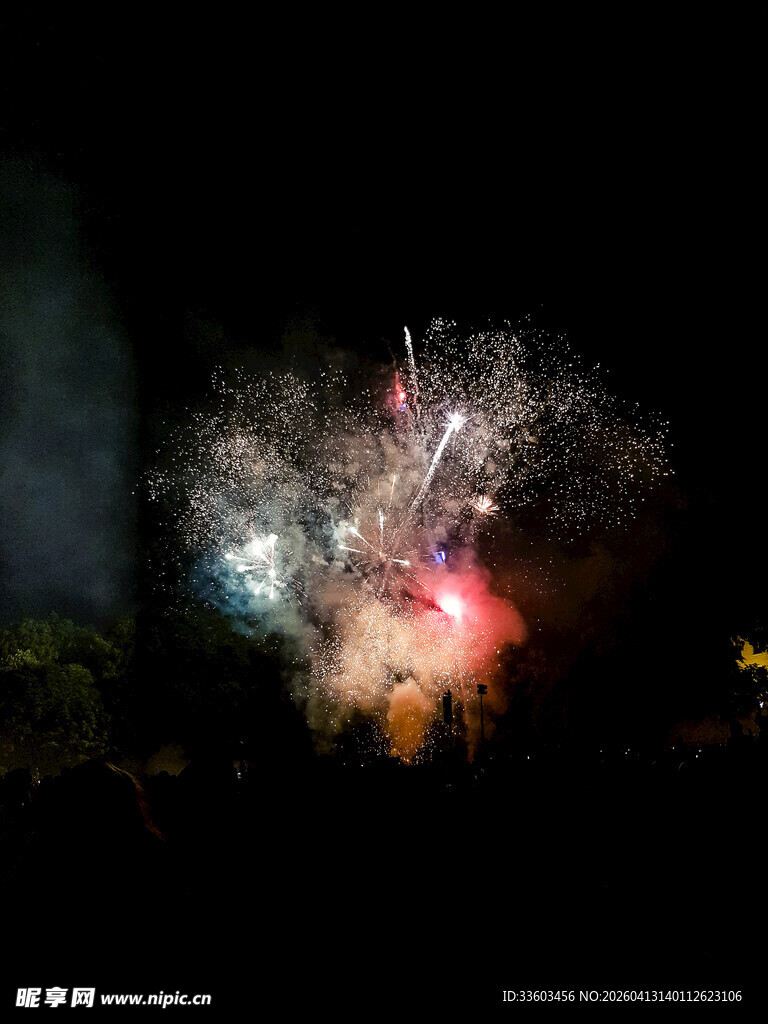 夜空中绚烂绽放的烟花