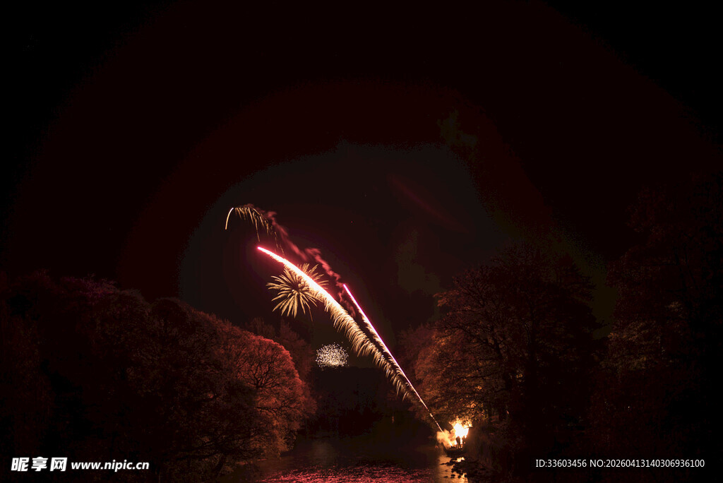 夜空中绚烂绽放的烟花