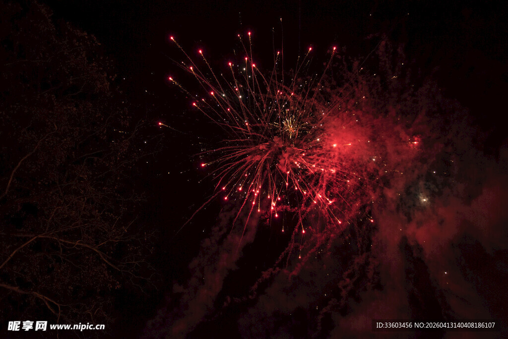 夜空中绚烂的红色烟花