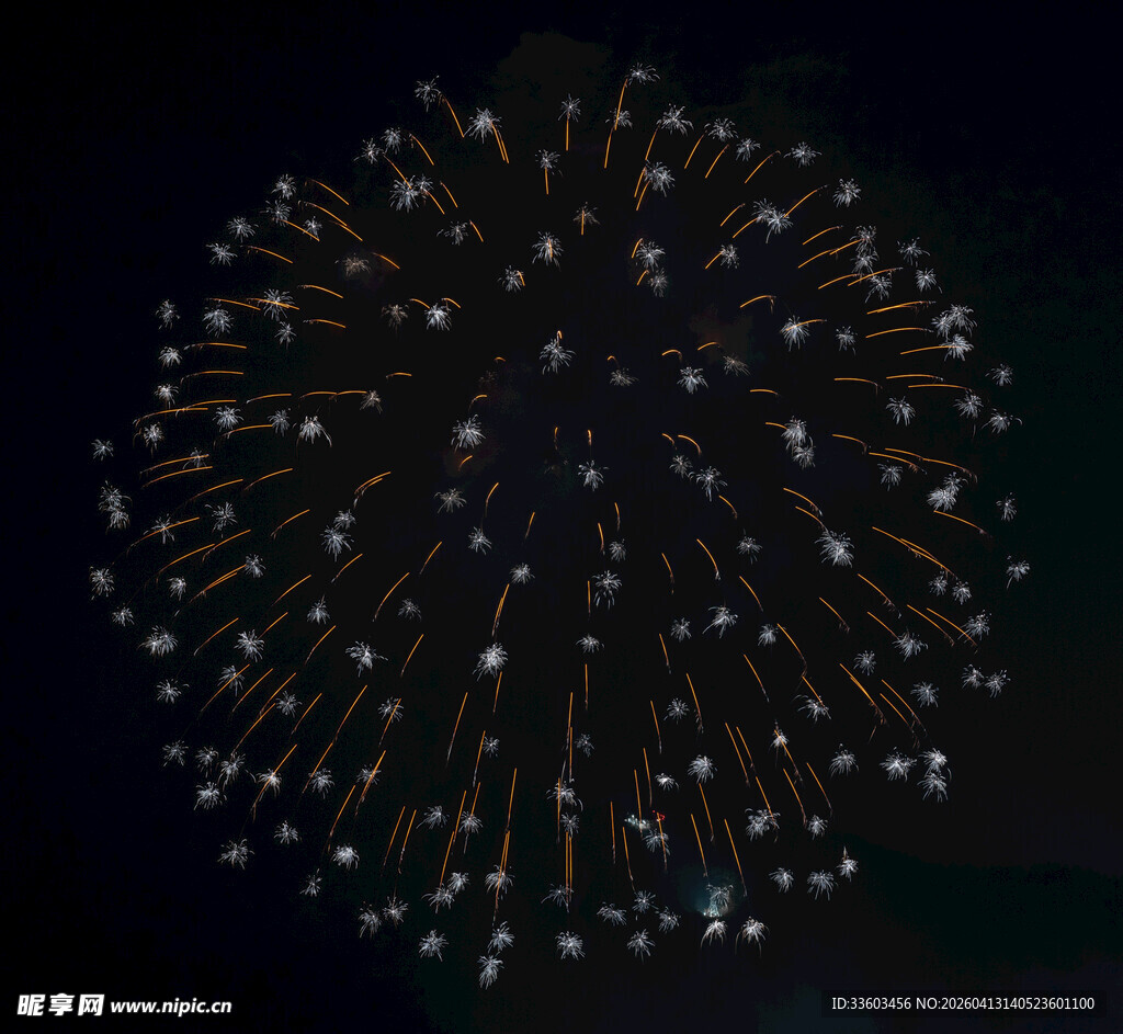 夜空中绽放的绚烂烟花